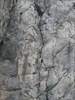 paklenica_apr_2010_01.jpg